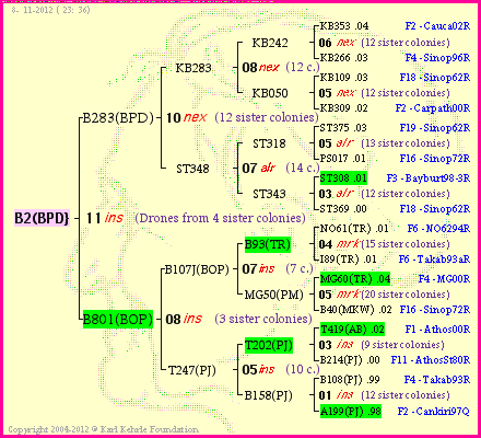 Pedigree of B2(BPD} :
four generations presented